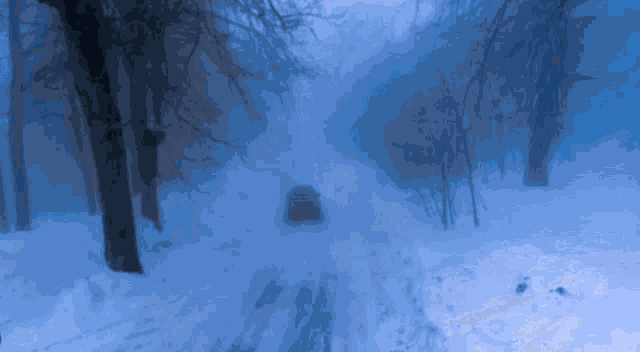 a car is driving down a snowy road with trees in the background