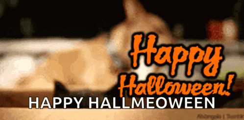 a cat laying on a table with the words happy halloween