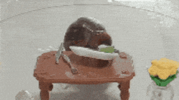 a toy cockroach is sitting on a table next to a vase of yellow flowers .