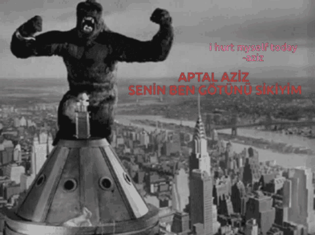 a black and white photo of a gorilla on top of a building with a caption that says aptal aziz