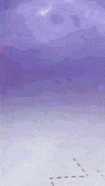 a purple background with a lot of tiny dots