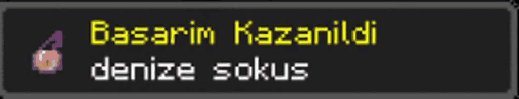 a black screen with yellow text that says basarim kazanildi denize sokus