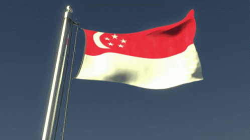 Singapore Singapore Flag GIF - Singapore Singapore Flag GIFs