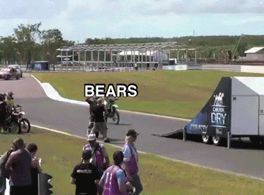 a group of people standing on a race track with the word bears on the bottom right