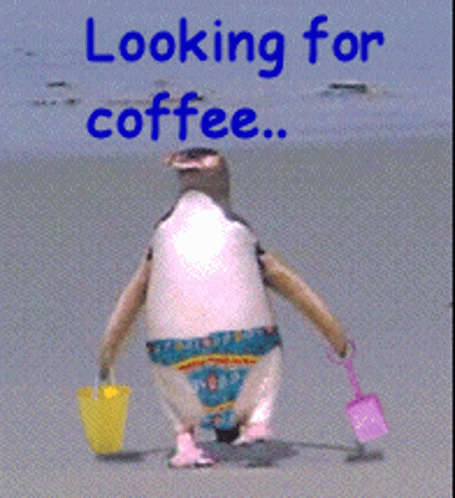 Penguin Looking For Coffee GIF - Penguin Looking For Coffee Beach GIFs