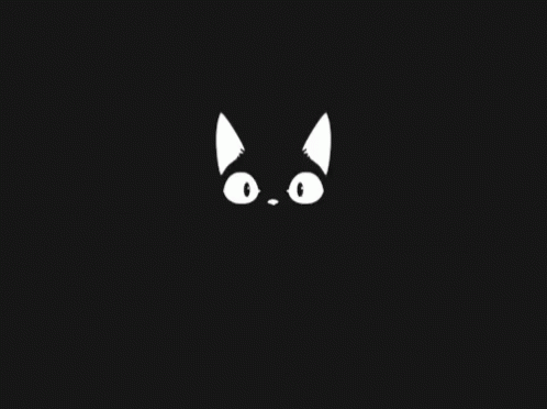 Black Cat GIF - Black Cat Sleeping GIFs