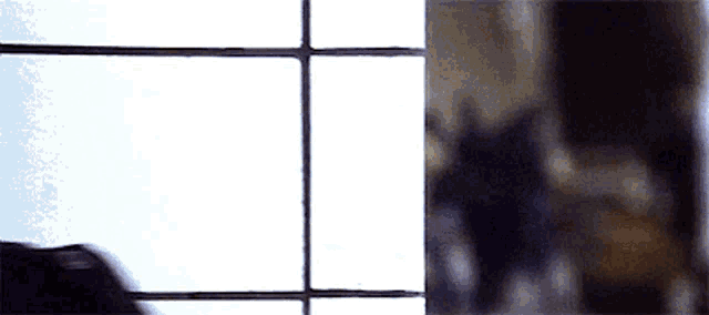 a blurred image of a window with a person standing in the background