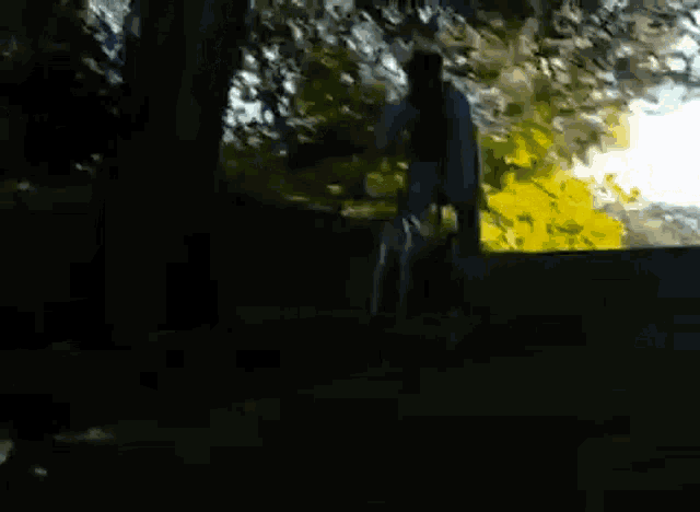 Senza Sella Bicycle GIF