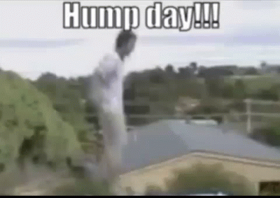 Hump Day  GIF - Trampoline Dumb Dumber Lol GIFs