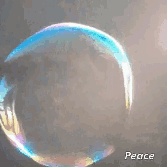 a soap bubble is floating in the air with the word peace written on the bottom .