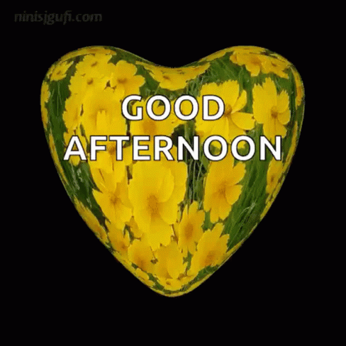 Good Afternoon Flowers GIF - Good Afternoon Flowers Hearts GIFs