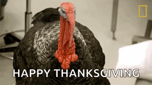 a turkey is standing in front of a sign that says " happy thanksgiving "