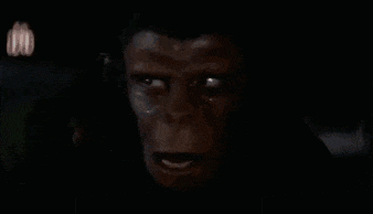 a close up of a monkey 's face in a dark room with a blurry background .
