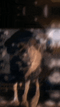 a blurry picture of a person 's face with a black background
