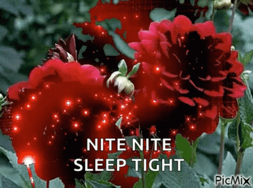 Nite Nite Sleep Tight GIF - Nite Nite Sleep Tight Sparkles GIFs