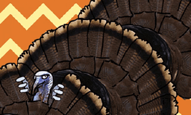 a drawing of a turkey with an orange background