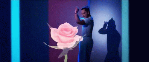 Bailar Rosa GIF - Bailar Rosa Feliz GIFs