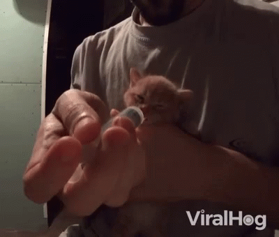 Drinking Thirsty GIF - Drinking Thirsty Baby Girl GIFs