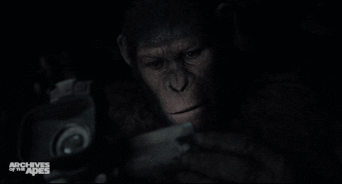 a close up of a monkey 's face with the words archives of the apes on the bottom