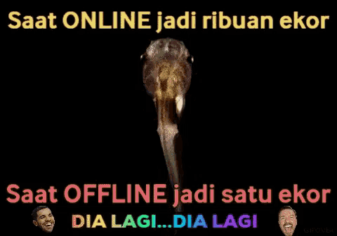 a picture of a frog with the caption saat online jadi ribuan ekor saat offline jadi satu ekor dia lagi dia lagi
