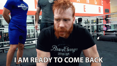 I Am Ready To Come Back Stephen Farrelly GIF - I Am Ready To Come Back Stephen Farrelly Sheamus GIFs