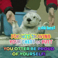 a picture of an otter with a caption that says for not shaving your chest or butt
