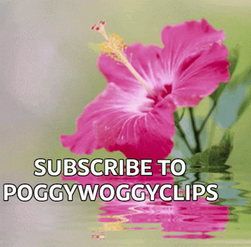 Poggy Woggy Clips Subscribe GIF