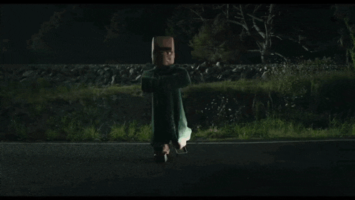 a car is driving down a road at night and a bird is flying over it .