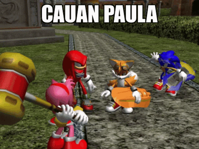 Cauan Paula Cauan GIF - Cauan Paula Cauan Sonic Riders GIFs
