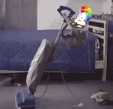 a vacuum cleaner is being used to clean a room