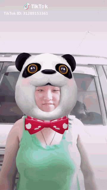 Mary Rose Tiktok GIF - Mary Rose Tiktok Panda GIFs