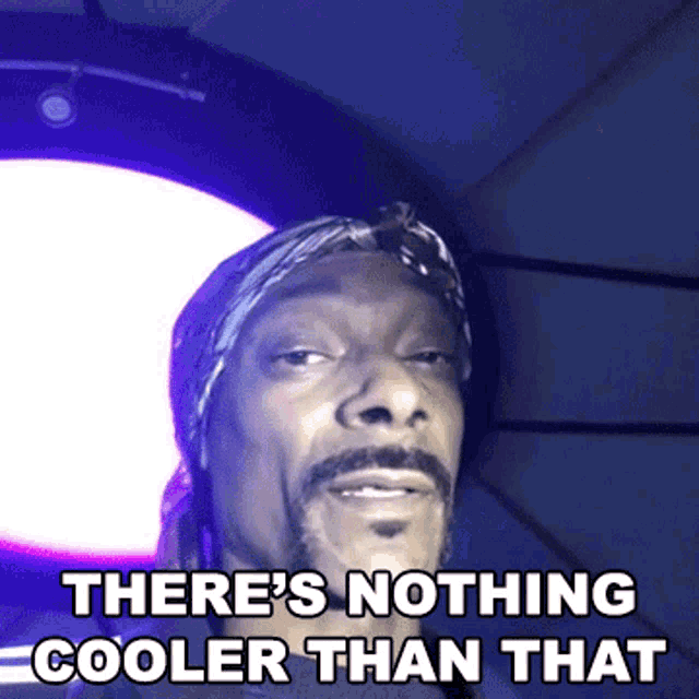 Theres Nothing Cooler Than That Snoop Dogg GIF