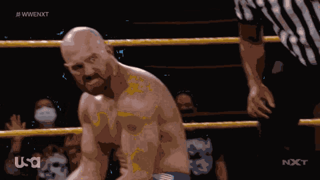 a man in a wrestling ring with a usa logo on the bottom right
