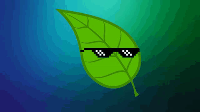 a green leaf wearing a pair of sunglasses on a blue background