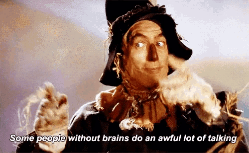 a scarecrow with the words some people without brains do an awful lot of talking