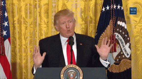 Donald Trump President Trump GIF - Donald Trump President Trump White House Press Conference GIFs