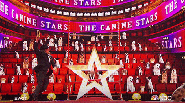 a man is dancing in front of a large star in a stadium full of dogs