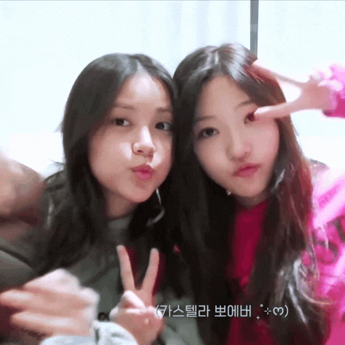 two girls are posing for a picture and one of them has a pink shirt on