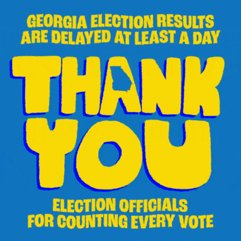 Georgia Election Results Are Delayed At Least A Day Thank You GIF - Georgia Election Results Are Delayed At Least A Day Thank You Thank You Election Officials GIFs
