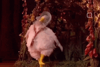 a chicken in a pink dress and yellow boots is dancing in a forest .