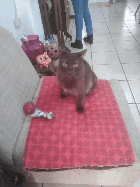 a cat is sitting on a red cushion next to a mouse toy