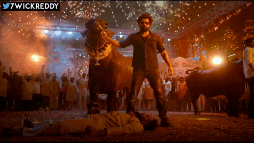 a man standing in front of a bull with the twitter username 7wickreddy below him