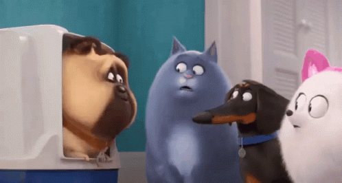 Chewing Pets GIF - Chewing Pets Lifeof Pets GIFs