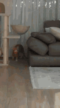 a living room with a couch and a table