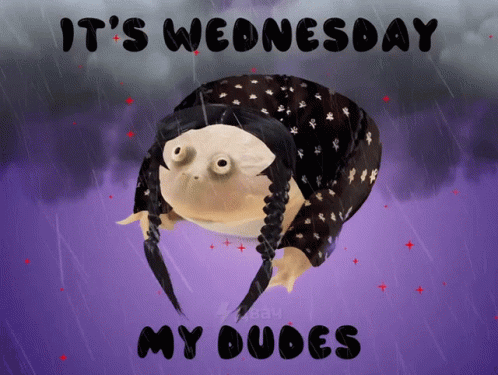 Its Wednesday My Dudes Frog GIF - Its Wednesday My Dudes Frog Meme GIFs