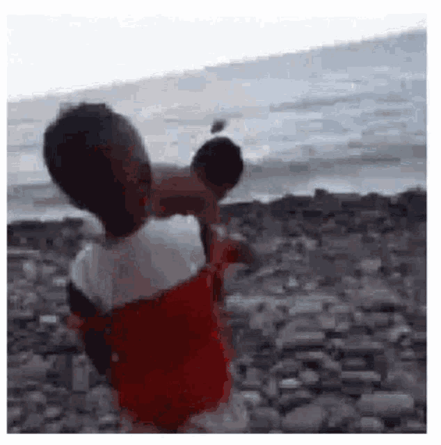 a couple of children are standing on a rocky beach .