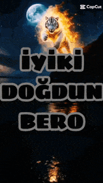 a picture of a fire tiger with the words iyiki dogdun bero below it
