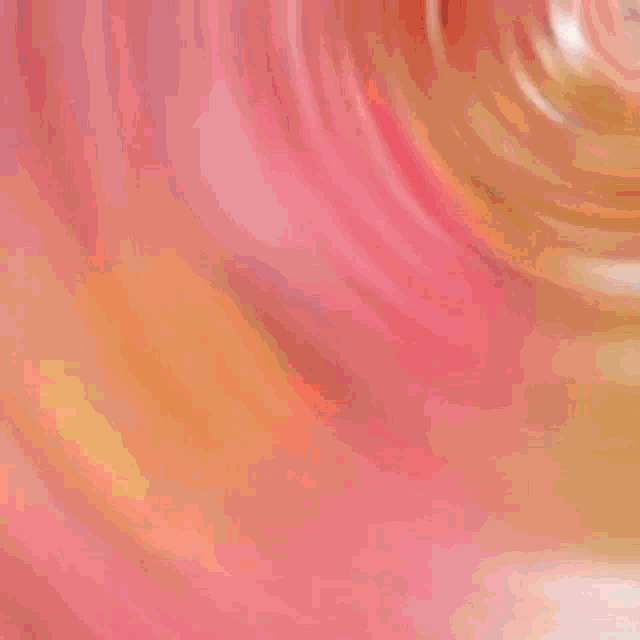 a close up of a pink flower with a swirl