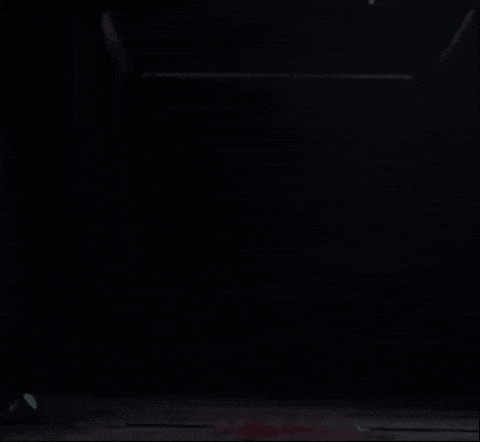 a black background with the words pianosaurus written on it