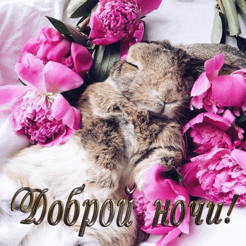 a picture of a rabbit surrounded by pink flowers with the words " доброй ночи " written on the bottom
